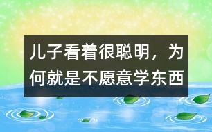 兒子看著很聰明，為何就是不愿意學東西
