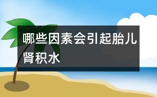 哪些因素會(huì)引起胎兒腎積水