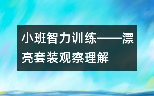 小班智力訓(xùn)練――漂亮套裝（觀察、理解、判斷、語言）