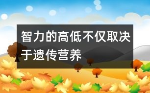 智力的高低不僅取決于遺傳、營養(yǎng)