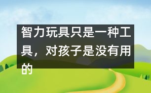 智力玩具只是一種工具，對(duì)孩子是沒(méi)有用的――王文革回答