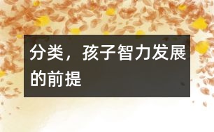 分類，孩子智力發(fā)展的前提