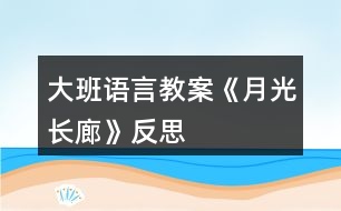 大班語(yǔ)言教案《月光長(zhǎng)廊》反思