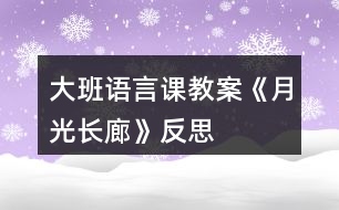 大班語言課教案《月光長(zhǎng)廊》反思