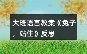 大班語言教案《兔子，站住》反思