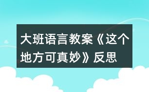 大班語(yǔ)言教案《這個(gè)地方可真妙》反思