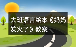 大班語(yǔ)言繪本《媽媽發(fā)火了》教案