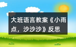 大班語(yǔ)言教案《小雨點(diǎn)，沙沙沙》反思