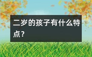 二歲的孩子有什么特點？