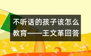 不聽(tīng)話(huà)的孩子該怎么教育――王文革回答