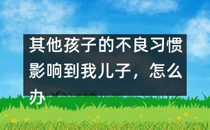 其他孩子的不良習(xí)慣影響到我兒子，怎么辦