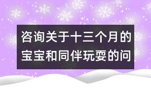 咨詢關于十三個月的寶寶和同伴玩耍的問題