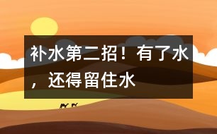 補(bǔ)水第二招！有了水，還得留住水