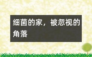 細(xì)菌的家，被忽視的角落