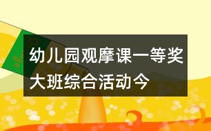 幼兒園觀摩課一等獎(jiǎng)大班綜合活動(dòng)——今天我下廚教學(xué)設(shè)計(jì)、說課稿及專家點(diǎn)評(píng)
