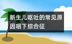 新生兒嘔吐的常見(jiàn)原因：咽下綜合征