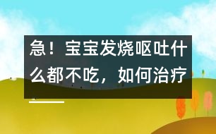 急！寶寶發(fā)燒嘔吐什么都不吃，如何治療――康宏回答
