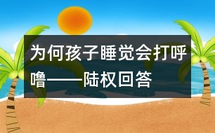 為何孩子睡覺會打呼嚕――陸權回答