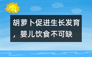 胡蘿卜促進(jìn)生長發(fā)育，嬰兒飲食不可缺