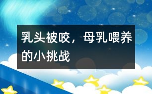 乳頭被咬，母乳喂養(yǎng)的小挑戰(zhàn)