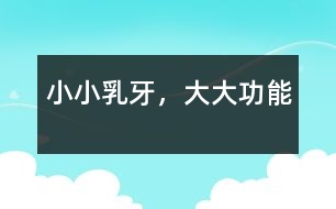 小小乳牙，大大功能