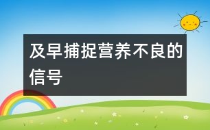 及早捕捉營養(yǎng)不良的信號(hào)