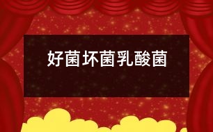 好菌、壞菌、乳酸菌