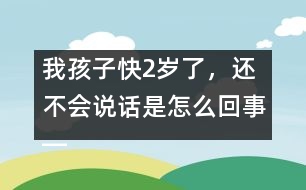 我孩子快2歲了，還不會說話是怎么回事――林茅回答