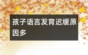孩子語(yǔ)言發(fā)育遲緩原因多