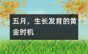 五月，生長(zhǎng)發(fā)育的黃金時(shí)機(jī)