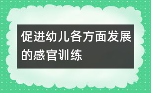 促進幼兒各方面發(fā)展的感官訓(xùn)練