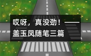 “哎呀，真沒勁！”――蓋玉鳳隨筆三篇