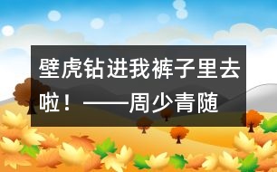 “壁虎”鉆進(jìn)我褲子里去啦！――周少青隨筆兩篇