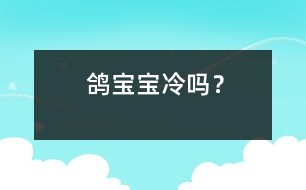 鴿寶寶冷嗎？