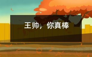 王帥，你真棒