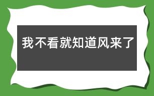 我不看就知道風來了