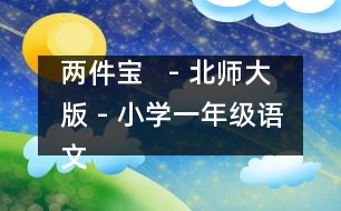 兩件寶   - 北師大版 - 小學(xué)一年級語文教案