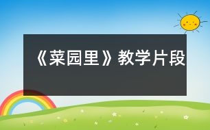 《菜園里》教學片段