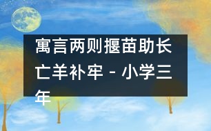 寓言兩則（揠苗助長 亡羊補牢） - 小學三年級語文教案