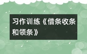 （習(xí)作訓(xùn)練）《借條、收條和領(lǐng)條》