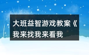 大班益智游戲教案《我來(lái)找、我來(lái)看、我來(lái)玩》