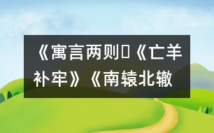 《寓言兩則?《亡羊補(bǔ)牢》、《南轅北轍》》教學(xué)設(shè)計(jì),教案