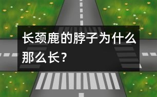 長(zhǎng)頸鹿的脖子為什么那么長(zhǎng)？