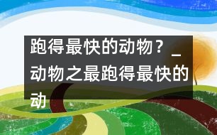 跑得最快的動物？_動物之最：跑得最快的動物？