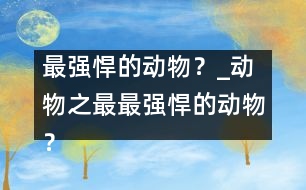 最強悍的動物？_動物之最：最強悍的動物？