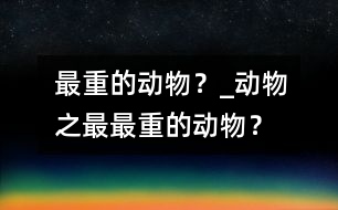 最重的動物？_動物之最：最重的動物？