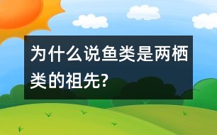 為什么說(shuō)魚類是兩棲類的祖先?