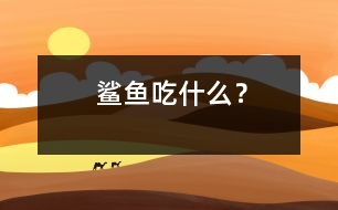鯊魚吃什么？