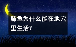 肺魚(yú)為什么能在地穴里生活?