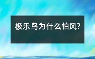 極樂(lè)鳥(niǎo)為什么怕風(fēng)?